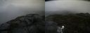 ./images/calvert/buxton2/20210602/buxton220210602_124003M.jpg
