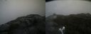 ./images/calvert/buxton2/20210602/buxton220210602_140002M.jpg