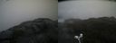 ./images/calvert/buxton2/20210602/buxton220210602_162002M.jpg