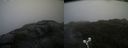 ./images/calvert/buxton2/20210602/buxton220210602_174002M.jpg