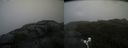 ./images/calvert/buxton2/20210602/buxton220210602_174502M.jpg
