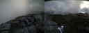 ./images/calvert/buxton2/20210603/buxton220210603_114003M.jpg