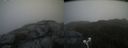 ./images/calvert/buxton2/20210603/buxton220210603_122502M.jpg