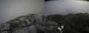 ./images/calvert/buxton2/20210603/buxton220210603_133503M.jpg