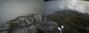 ./images/calvert/buxton2/20210603/buxton220210603_134003M.jpg