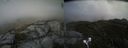 ./images/calvert/buxton2/20210603/buxton220210603_141002M.jpg