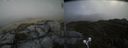 ./images/calvert/buxton2/20210603/buxton220210603_142002M.jpg