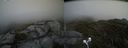 ./images/calvert/buxton2/20210603/buxton220210603_155503M.jpg