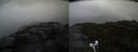 ./images/calvert/buxton2/20210604/buxton220210604_114003M.jpg