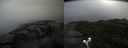 ./images/calvert/buxton2/20210604/buxton220210604_114503M.jpg