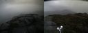 ./images/calvert/buxton2/20210604/buxton220210604_122003M.jpg