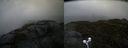 ./images/calvert/buxton2/20210604/buxton220210604_122503M.jpg