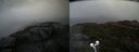 ./images/calvert/buxton2/20210604/buxton220210604_124002M.jpg