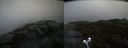 ./images/calvert/buxton2/20210604/buxton220210604_131502M.jpg
