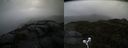 ./images/calvert/buxton2/20210604/buxton220210604_134502M.jpg