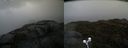 ./images/calvert/buxton2/20210604/buxton220210604_141003M.jpg