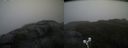 ./images/calvert/buxton2/20210604/buxton220210604_160502M.jpg