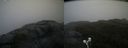./images/calvert/buxton2/20210604/buxton220210604_164503M.jpg