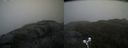 ./images/calvert/buxton2/20210604/buxton220210604_172503M.jpg