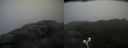 ./images/calvert/buxton2/20210604/buxton220210604_180002M.jpg