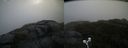 ./images/calvert/buxton2/20210604/buxton220210604_195003M.jpg