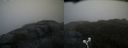 ./images/calvert/buxton2/20210604/buxton220210604_195503M.jpg