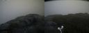 ./images/calvert/buxton2/20210604/buxton220210604_202003M.jpg