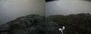 ./images/calvert/buxton2/20210605/buxton220210605_170502M.jpg