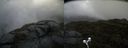 ./images/calvert/buxton2/20210605/buxton220210605_172002M.jpg