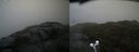 ./images/calvert/buxton2/20210605/buxton220210605_180003M.jpg