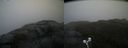./images/calvert/buxton2/20210605/buxton220210605_183503M.jpg