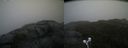 ./images/calvert/buxton2/20210605/buxton220210605_185503M.jpg