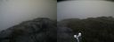 ./images/calvert/buxton2/20210605/buxton220210605_193503M.jpg