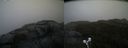 ./images/calvert/buxton2/20210605/buxton220210605_194503M.jpg
