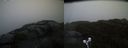 ./images/calvert/buxton2/20210605/buxton220210605_210503M.jpg