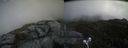 ./images/calvert/buxton2/20210607/buxton220210607_125502M.jpg