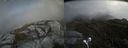 ./images/calvert/buxton2/20210607/buxton220210607_132002M.jpg