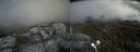 ./images/calvert/buxton2/20210607/buxton220210607_135502M.jpg