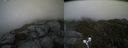 ./images/calvert/buxton2/20210607/buxton220210607_141002M.jpg
