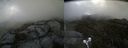./images/calvert/buxton2/20210607/buxton220210607_141502M.jpg