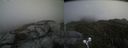 ./images/calvert/buxton2/20210607/buxton220210607_143503M.jpg