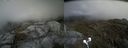 ./images/calvert/buxton2/20210607/buxton220210607_152003M.jpg
