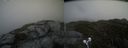 ./images/calvert/buxton2/20210607/buxton220210607_153502M.jpg