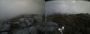 ./images/calvert/buxton2/20210607/buxton220210607_154002M.jpg