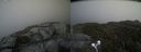 ./images/calvert/buxton2/20210607/buxton220210607_154502M.jpg