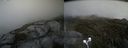 ./images/calvert/buxton2/20210607/buxton220210607_155002M.jpg