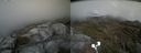 ./images/calvert/buxton2/20210607/buxton220210607_164002M.jpg
