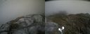 ./images/calvert/buxton2/20210607/buxton220210607_164502M.jpg