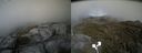 ./images/calvert/buxton2/20210607/buxton220210607_174503M.jpg