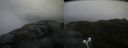 ./images/calvert/buxton2/20210608/buxton220210608_100003M.jpg